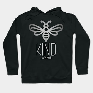 Be Kind Of A Bitch Funny Sarcastic Quote Hoodie